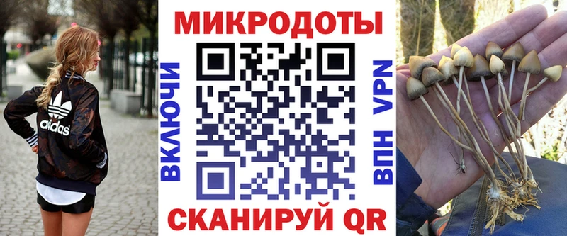 купить цена Первомайск Галлюциногенные грибы GOLDEN TEACHER